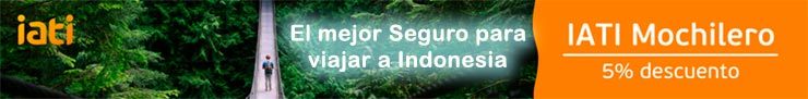 El mejor Seguro de Viajes para Indonesia con Descuento en esta Web